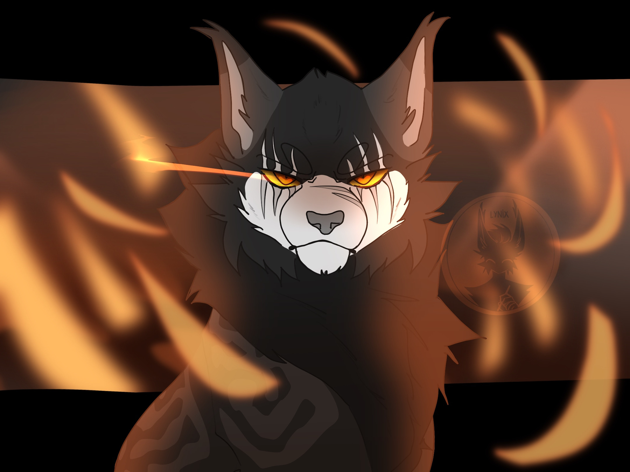 Dark'Storm